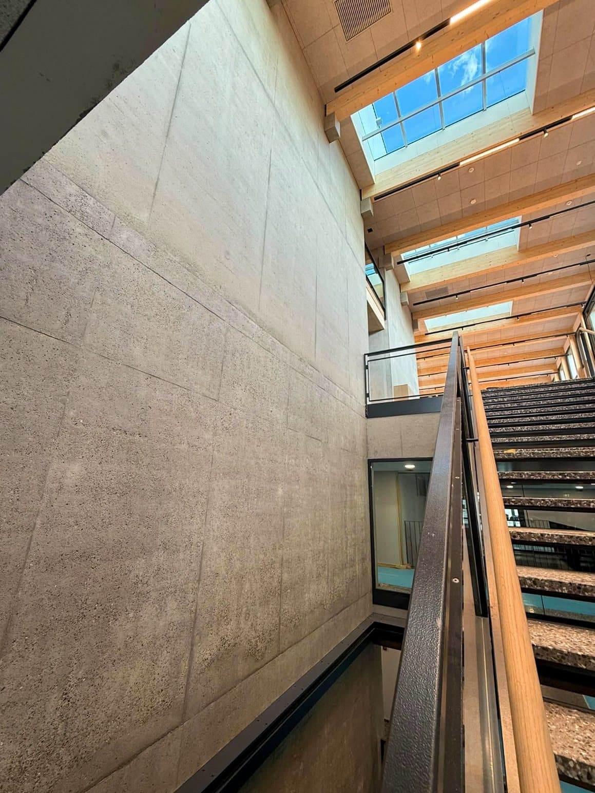 Staircase with exposed concrete wall, timber ceiling and skylight